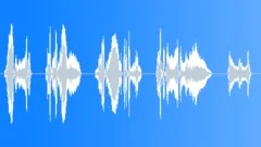 Child laughing outSound Effect