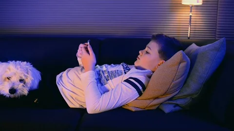 Child lays down on sofa with mobile phone and his dog relaxing Stock Footage 98850376