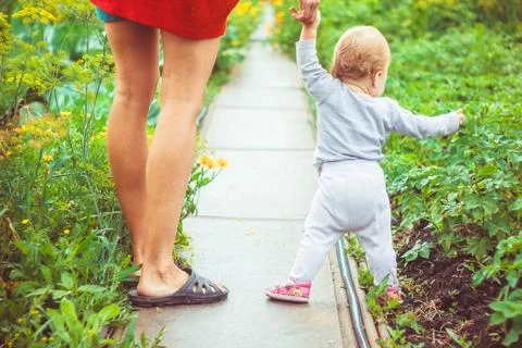 The child learns to walk on the grass Stock Photos
