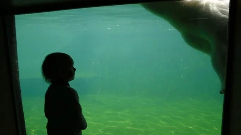 The child is looking at a floating polar bear 스톡 동영상 77751839