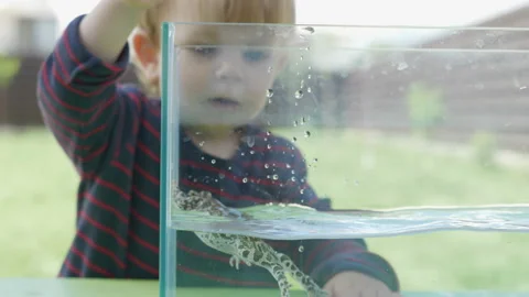 Child looking at frog floating in aquarium, prison pet willing to escape Video stock 142031840