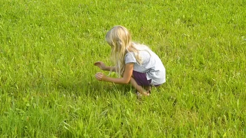 The child is looking for insects in the grass in the summer. Stockbeeldmateriaal 79797384