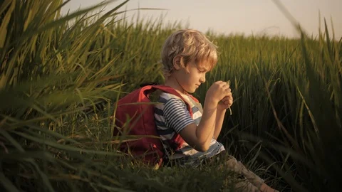 Child looking at the leaf, exploring nature in green grass Stock Footage 105412268