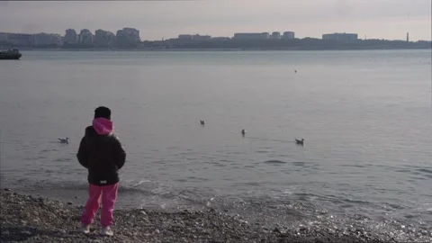 A child looking at the waves Stock Footage 307384249
