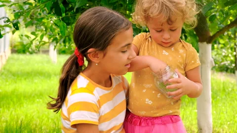 The child looks at the ladybug. Selective focus. Stock Footage 274337658