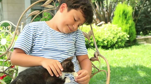 Child loves his cat Stock Footage 53272353