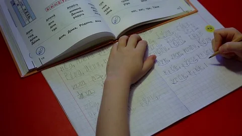 The child makes lessons Stock Footage 73533972