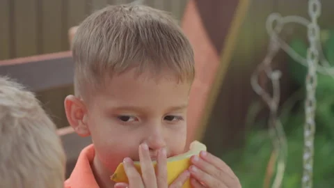 Child Making Playful Gesture With Melon Slice Near Face In Garden, Boy Sitting Stock Footage 330892643