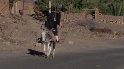 Child making a stroll on a Donkey in Morocco Video stock 52929728