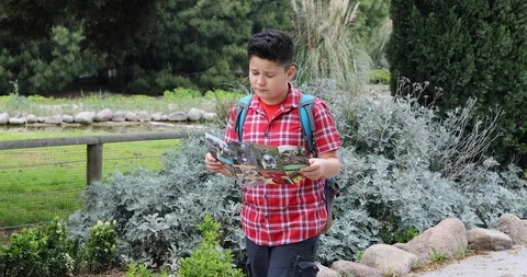 Child with map walking at the nature alone Stock Footage 88289800