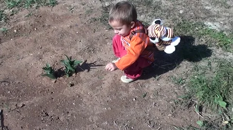 Child meets ants Stock Footage 60904865