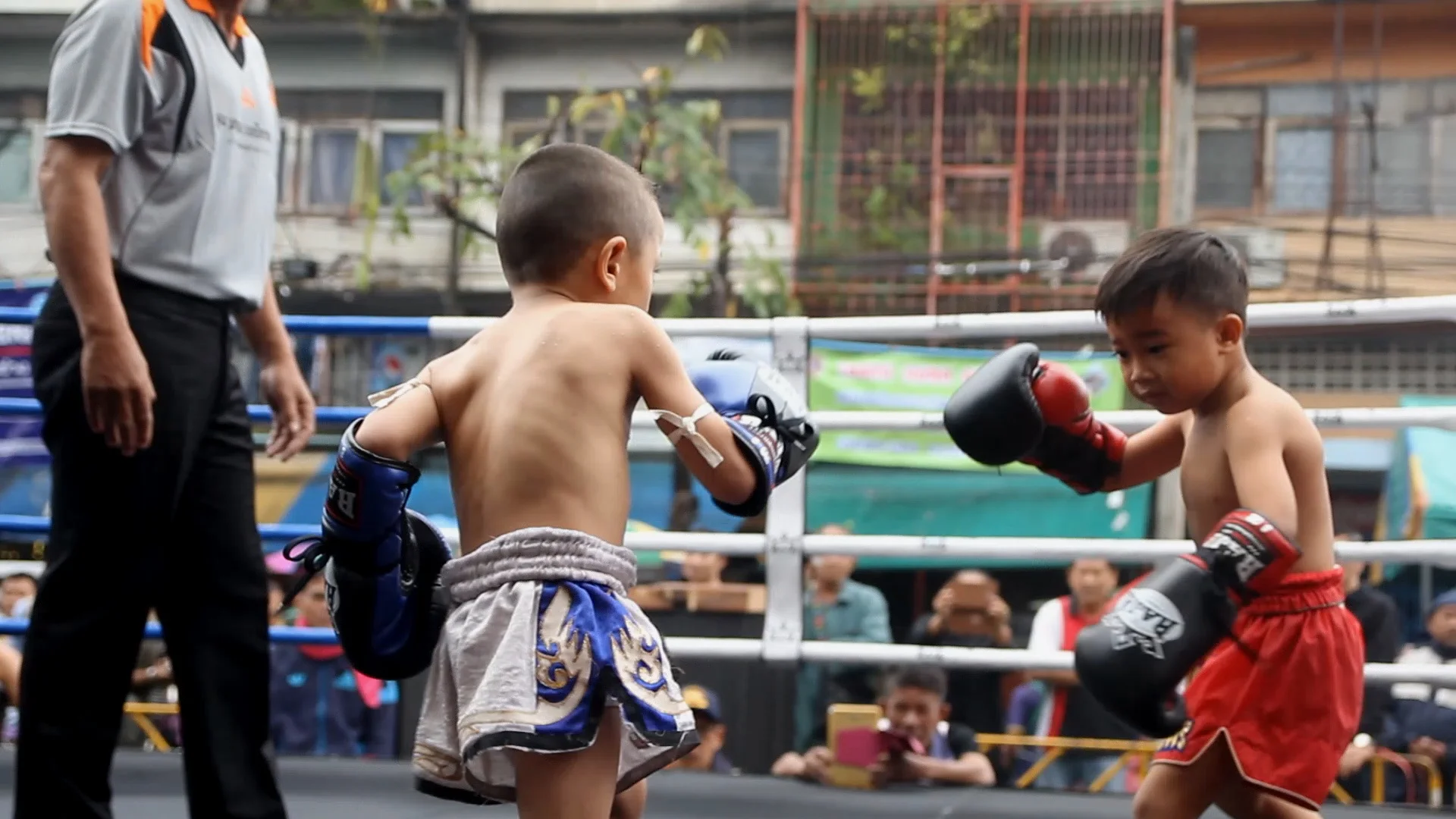 How Are Boxers With Children