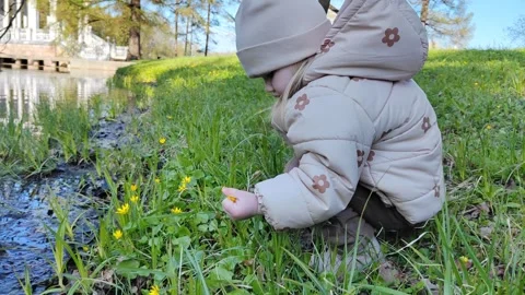 Child in nature Video stock 274792752