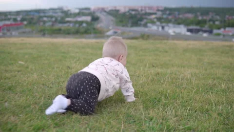 Child outdoors, crawling on the lawn Stock Footage 138172289
