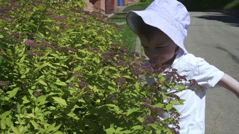 A child in a panama hat sniffs 動画素材 136112260