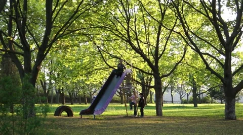 Child a Park Stock Footage 50424390