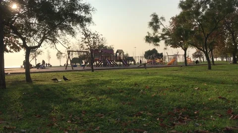 Child park Video stock 144343657