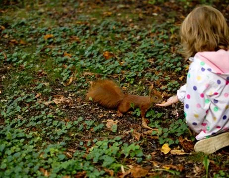 Child in the park Stock Photos