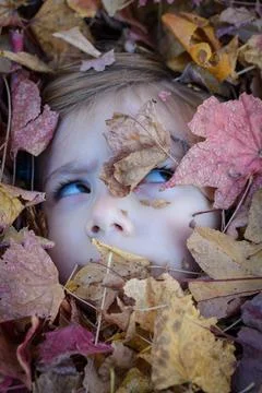 Child peeks through fallen autumn leaves Stock Photos