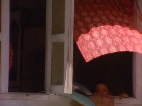Child peeping through the window on a sunny day Stock Footage 79881511