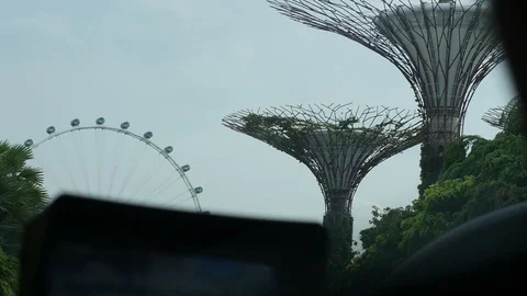 Child Perspective - Gardens By the Bay view - Car Interior Video stock 89313671