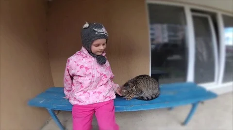 A child petting a cat	 Stock Footage 105186509