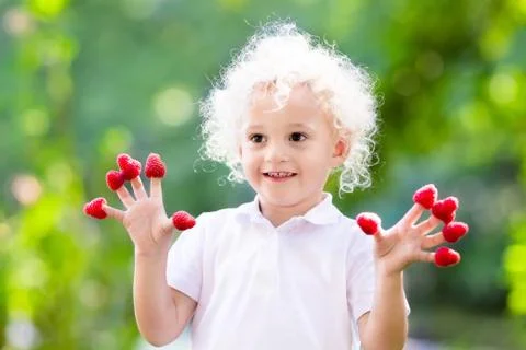 Child picking and eating raspberry in summer Stock Photos