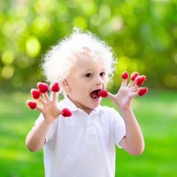 Child picking and eating raspberry in summer Foto stock