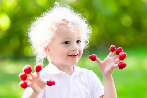 Child picking and eating raspberry in summer Stock Photos