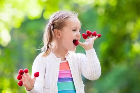 Child picking and eating raspberry in summer Stock Photos