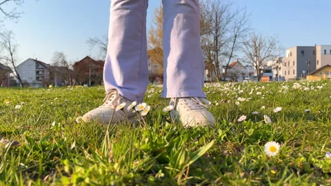 Child Picking Daisies In A Sunny Spring Meadow Stock Footage 331631992