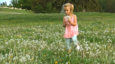 Child Picking Dandelion Flowers in Mountains, Girl Playing on a Meadow, Children Stock Footage