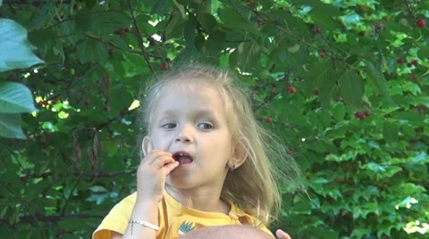 Child Picking, Eating Cherries Fruit from Cherry Tree in Orchard, Food, Children Stock Footage