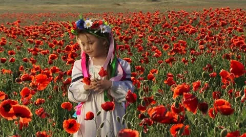 Child picking flowers Stock Footage 21946762