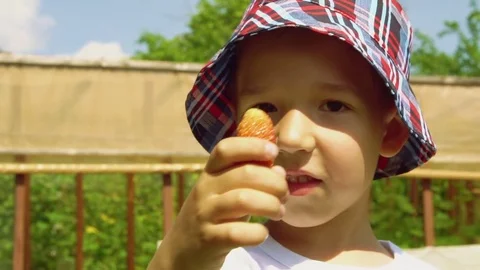 Child is picking strawberries Stock Footage 78026208
