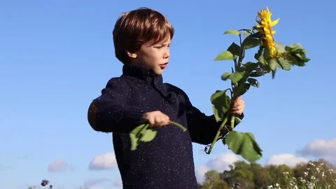 Child picks flowers in a field Stock Footage 83357555