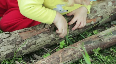 Child picks his log Vídeo Stock 49935965