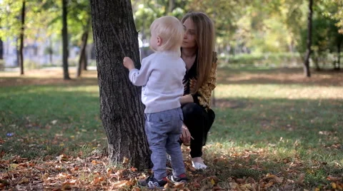 Child picks tree Stock Footage 55577737