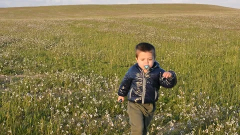 Child is played in the field Stock-Footage 149840563
