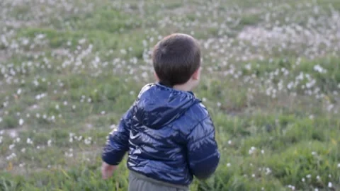 Child is played in the field Vidéo 149840602