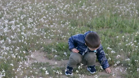 Child is played in the field Vidéo 149840622