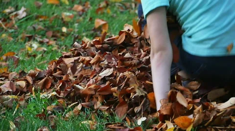 Child Playing and Getting Up Out of Leaf Pile in Slow Motion Stock Footage 56686841
