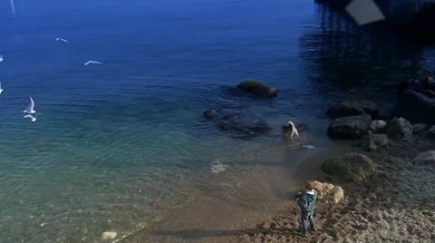A child playing ashore sea Stock Footage 35187633