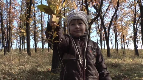 Child playing in the autumn forest Stock Footage 953702