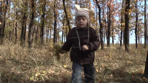 Child playing in the autumn forest Stock Footage 953705