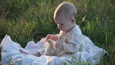 A child is playing with a chicken in a clearing Stock Footage 269503283