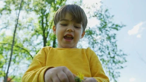 Child playing with a dandelion Stock Footage 100002979
