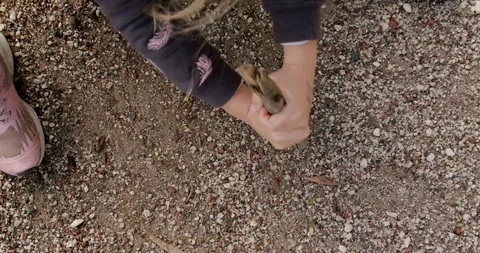 Child playing in the dirt with a stick Video stock 128805249