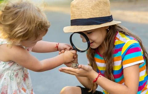 The child is playing with the frog. Selective focus. Stock Photos