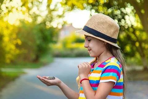 The child is playing with the frog. Selective focus. Stock Photos